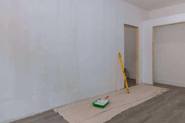 Best Drywall Sanding and Smoothing  in USA